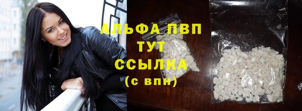 прущие грибы Гусиноозёрск