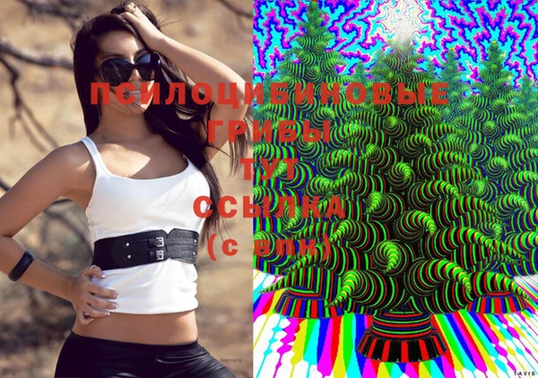 ПСИЛОЦИБИНОВЫЕ ГРИБЫ Аркадак