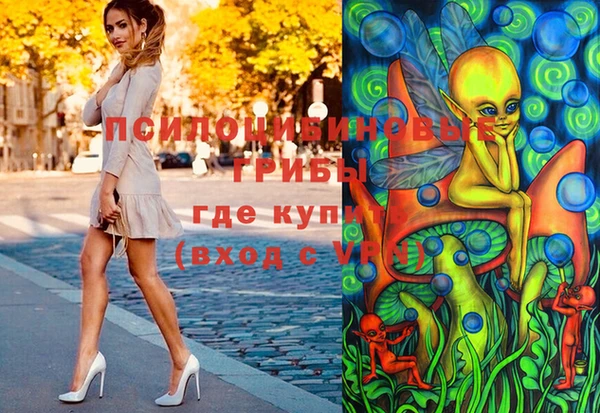 ПСИЛОЦИБИНОВЫЕ ГРИБЫ Аркадак