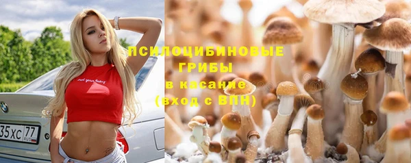 ПСИЛОЦИБИНОВЫЕ ГРИБЫ Аркадак