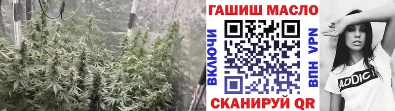 Дистиллят ТГК гашишное масло  darknet состав  Череповец  купить закладку 