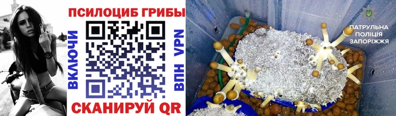 продажа наркотиков  Череповец  Псилоцибиновые грибы ЛСД 